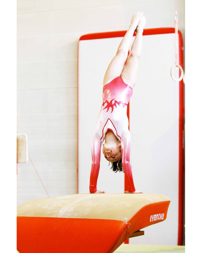 Gymnastics Leotard Marguerite-01, red to silvery white gradient – view 2